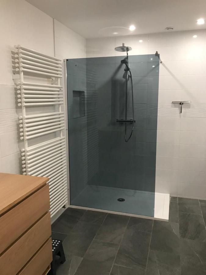 - Gite Appart Orchidée - Coeur de ville - Lunéville - Soirée étape VRP - capacité 1 à 4 personnes - Accès piscine et jardin Exterior foto