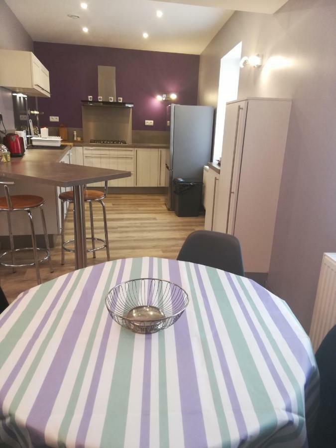 - Gite Appart Orchidée - Coeur de ville - Lunéville - Soirée étape VRP - capacité 1 à 4 personnes - Accès piscine et jardin Exterior foto