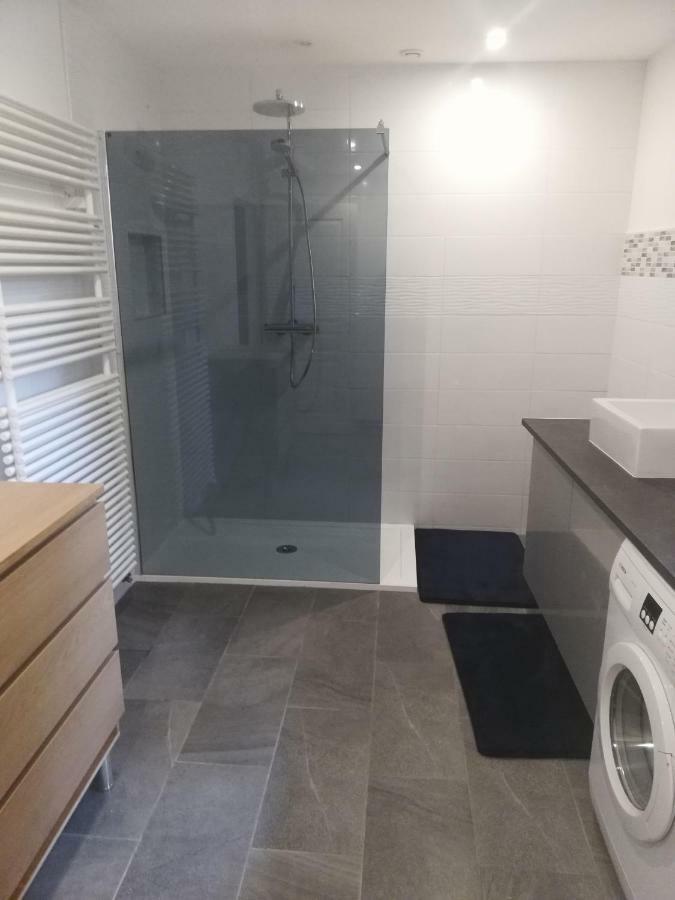 - Gite Appart Orchidée - Coeur de ville - Lunéville - Soirée étape VRP - capacité 1 à 4 personnes - Accès piscine et jardin Exterior foto